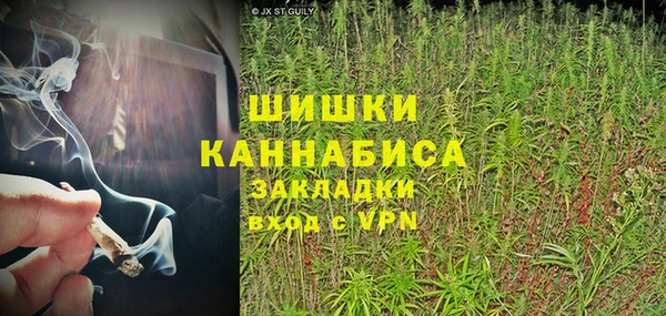 сатива Медногорск